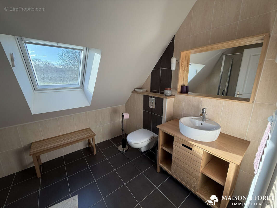 Maison à OUZOUER-SUR-TREZEE