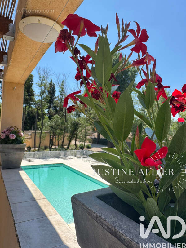 Photo 2 - Appartement à SAINT-REMY-DE-PROVENCE