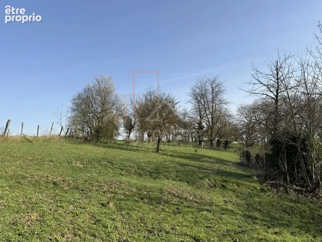 Charmante maison alsacienne avec dépendances sur 59 ares de terrain à rénover - photo 15