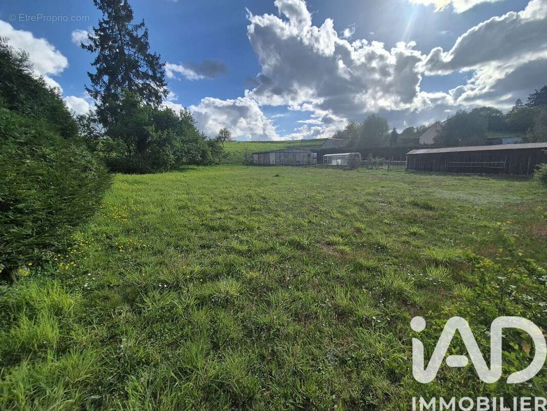 Photo 2 - Terrain à DOLLON