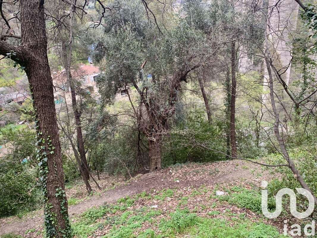 Photo 2 - Terrain à GORBIO