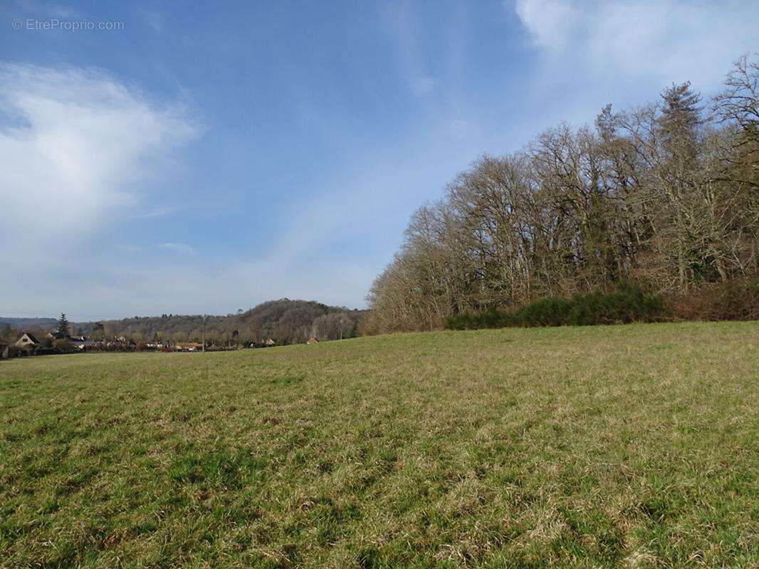 Terrain Thonac 19000 m2 - photo 2