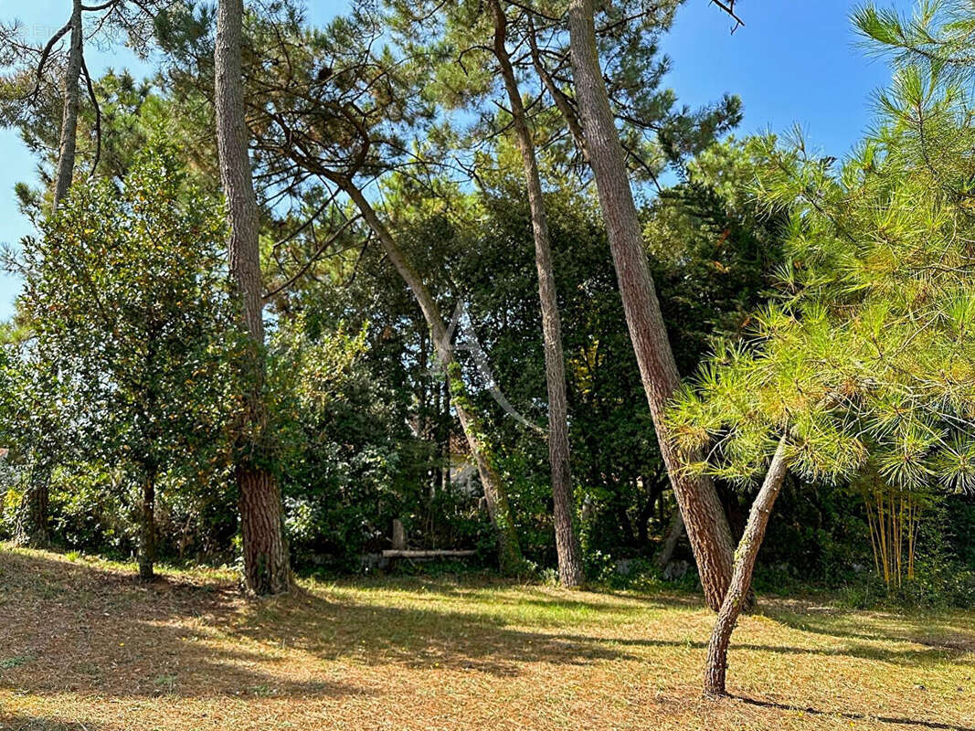 Maison de famille - Saint Jean De Monts - photo 3