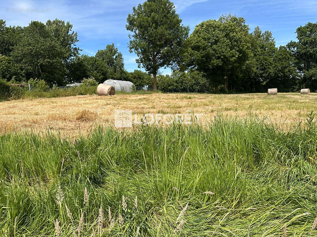 Terrain à HESDIN