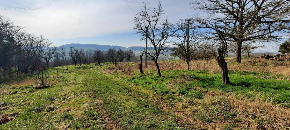 Terrain à LANDREMONT