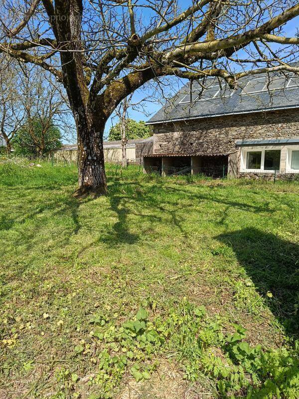 Maison à LA CHATAIGNERAIE