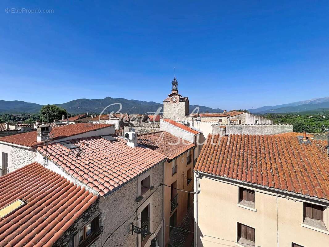 Maison de village, terrasses, garage, st jean pla de corts - photo 2