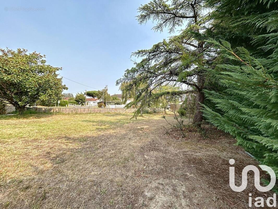 Photo 1 - Terrain à CHEMERE