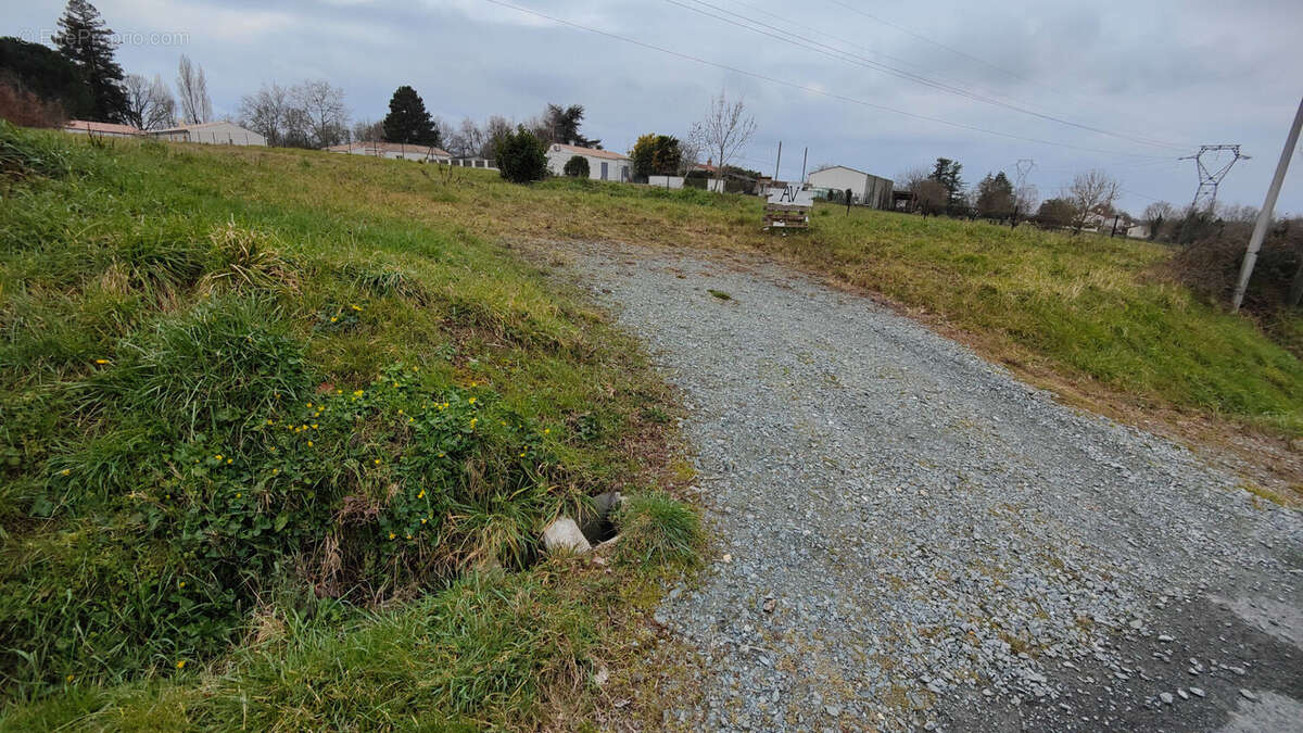 Terrain à FONTCOUVERTE