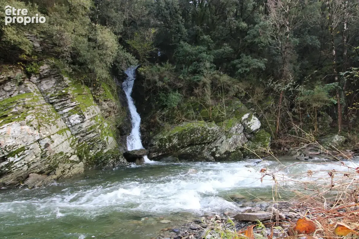 MAS 360 de volume + 25 hectares. - photo 2