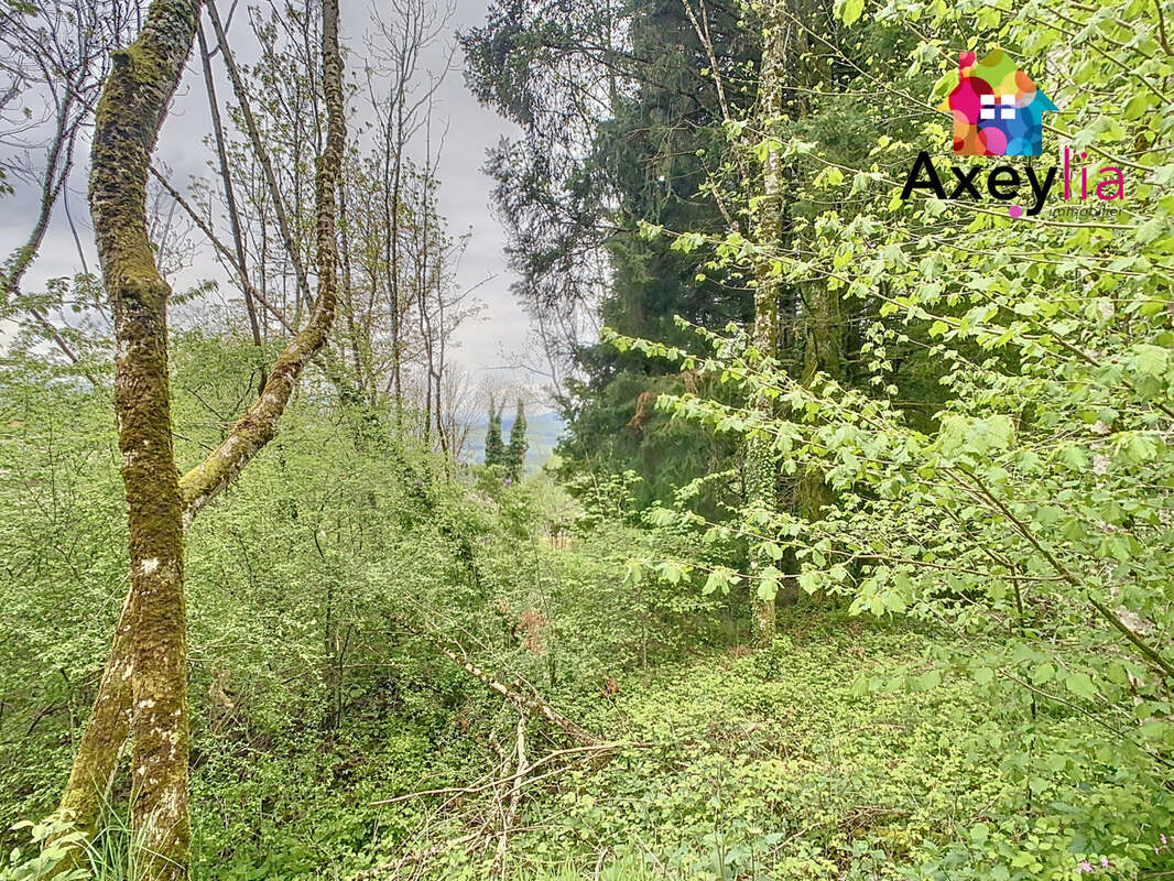 Maison à SAINT-NICOLAS-DES-BIEFS