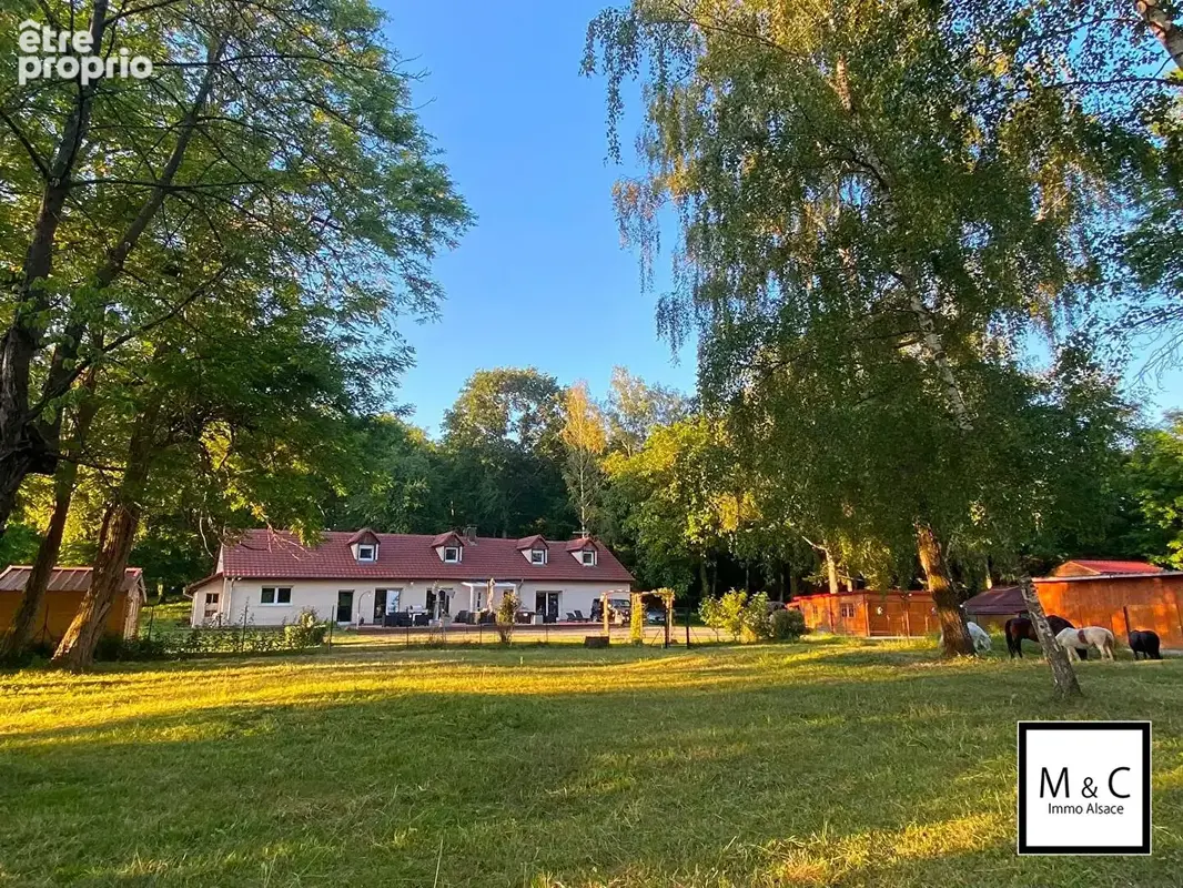 Maison d'habitation sur domaine équestre (Unique dans la région) - photo 15