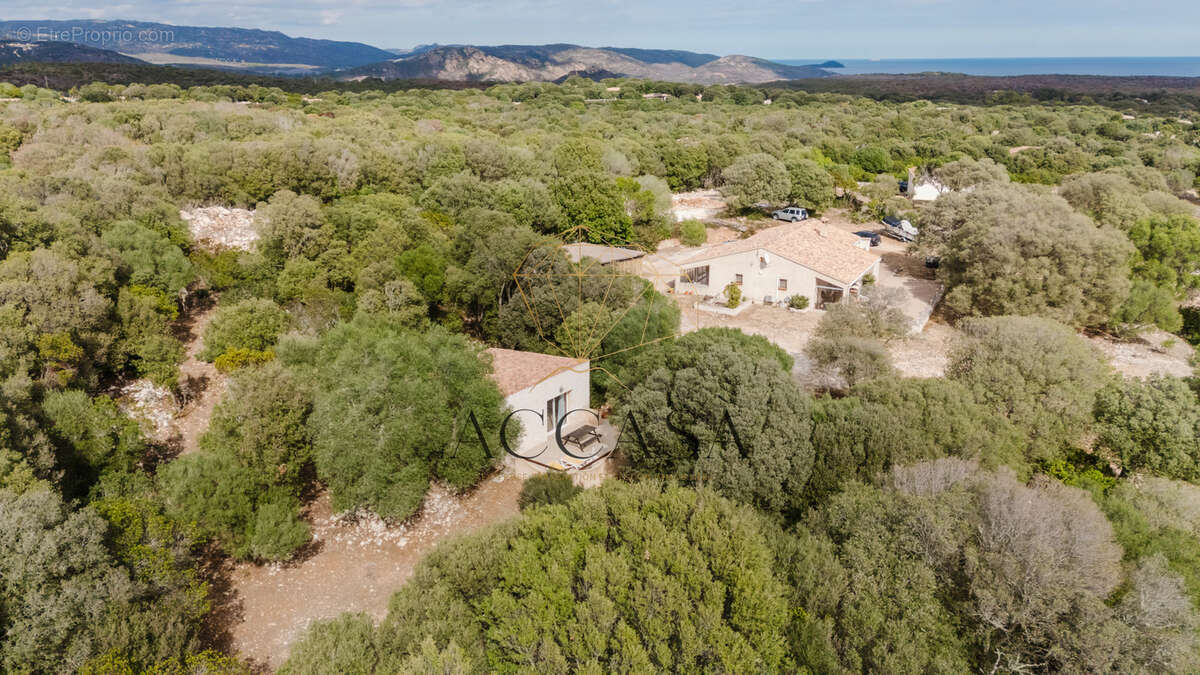 Propriété avec dépendance sur grand terrain constructible à 5 min de la plage de Bonifacio - photo 44