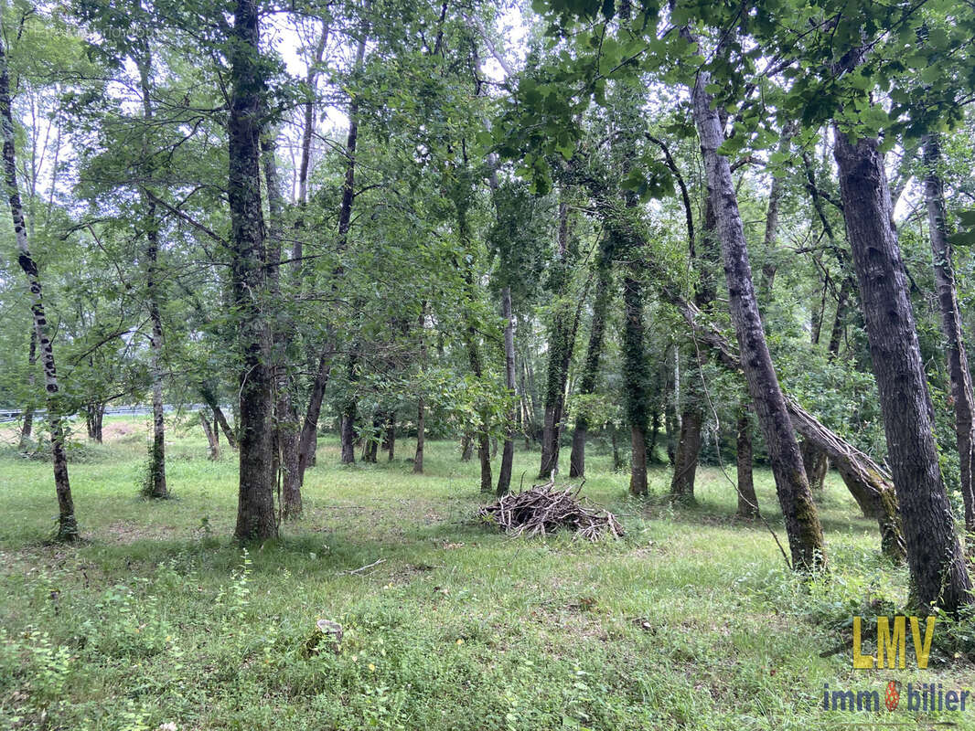 Terrain à LES SALLES-DE-CASTILLON