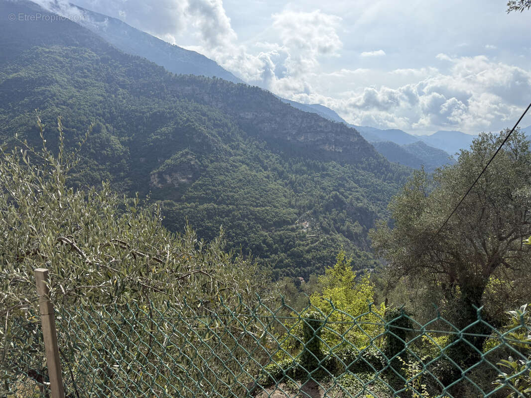 Maison à BREIL-SUR-ROYA