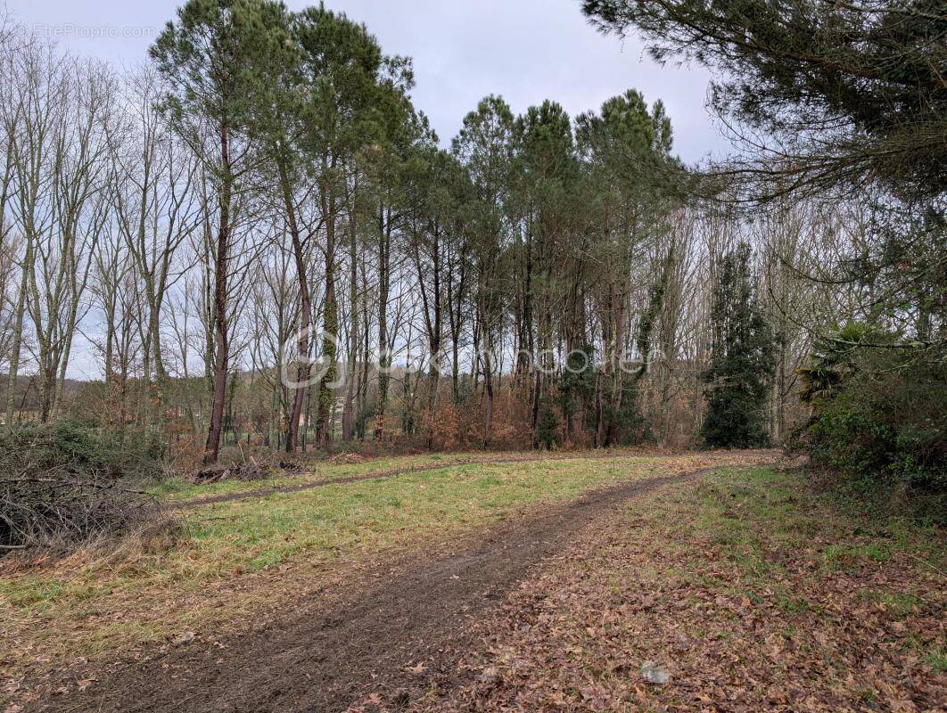 Terrain à GREZET-CAVAGNAN