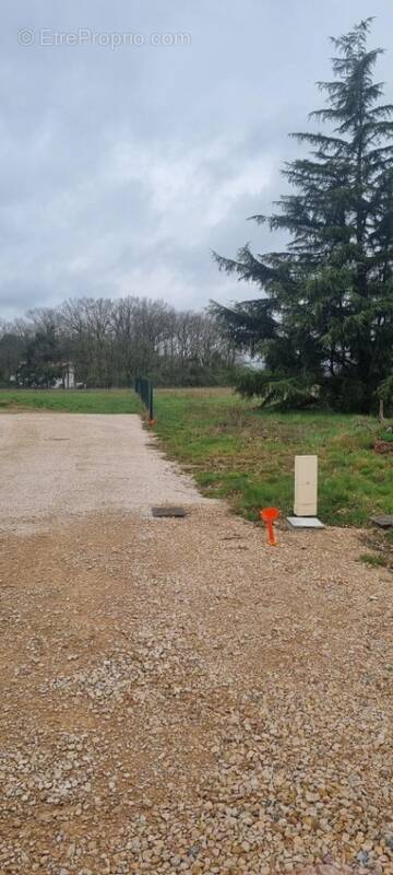 Terrain à MONTMERLE-SUR-SAONE