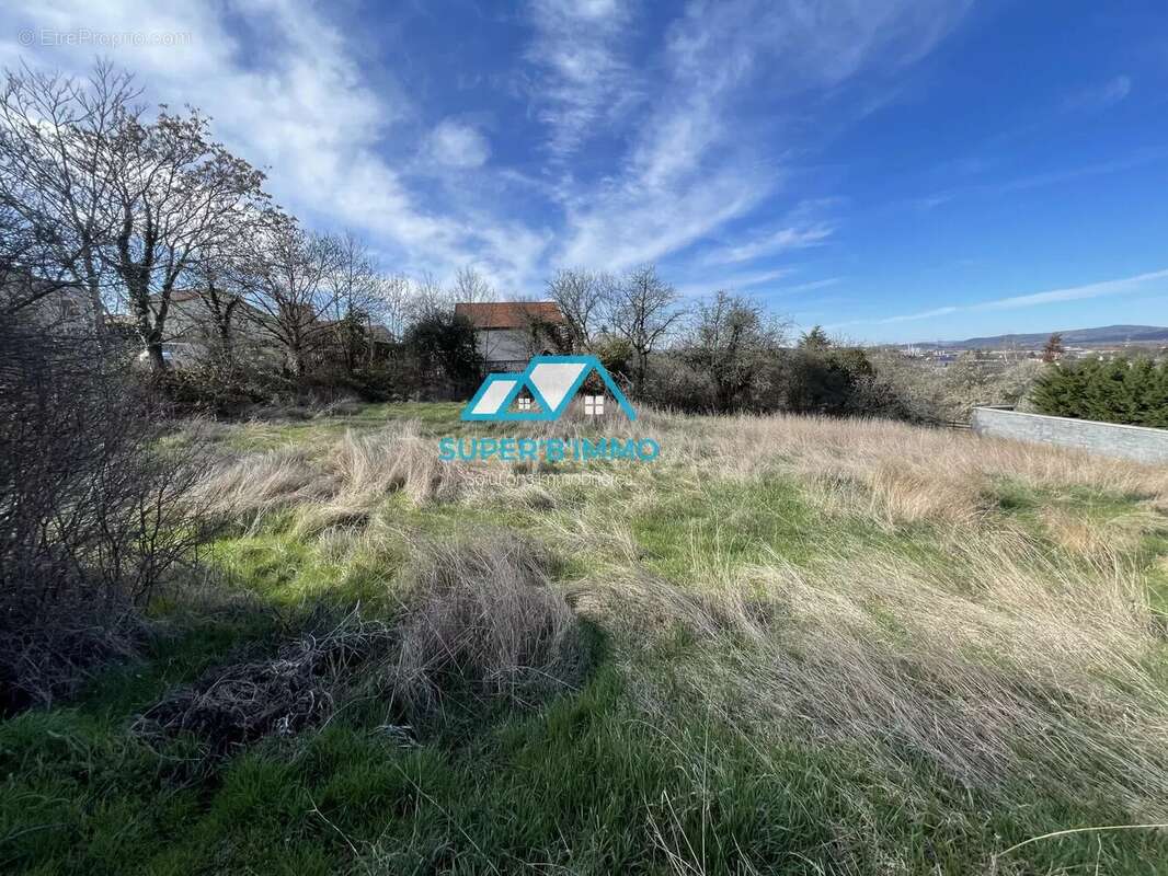 Terrain à BRIOUDE
