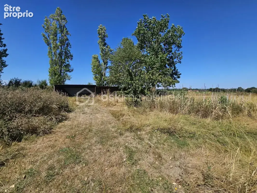 Longère de Charme sur 7351 m² de Terrain - photo 13