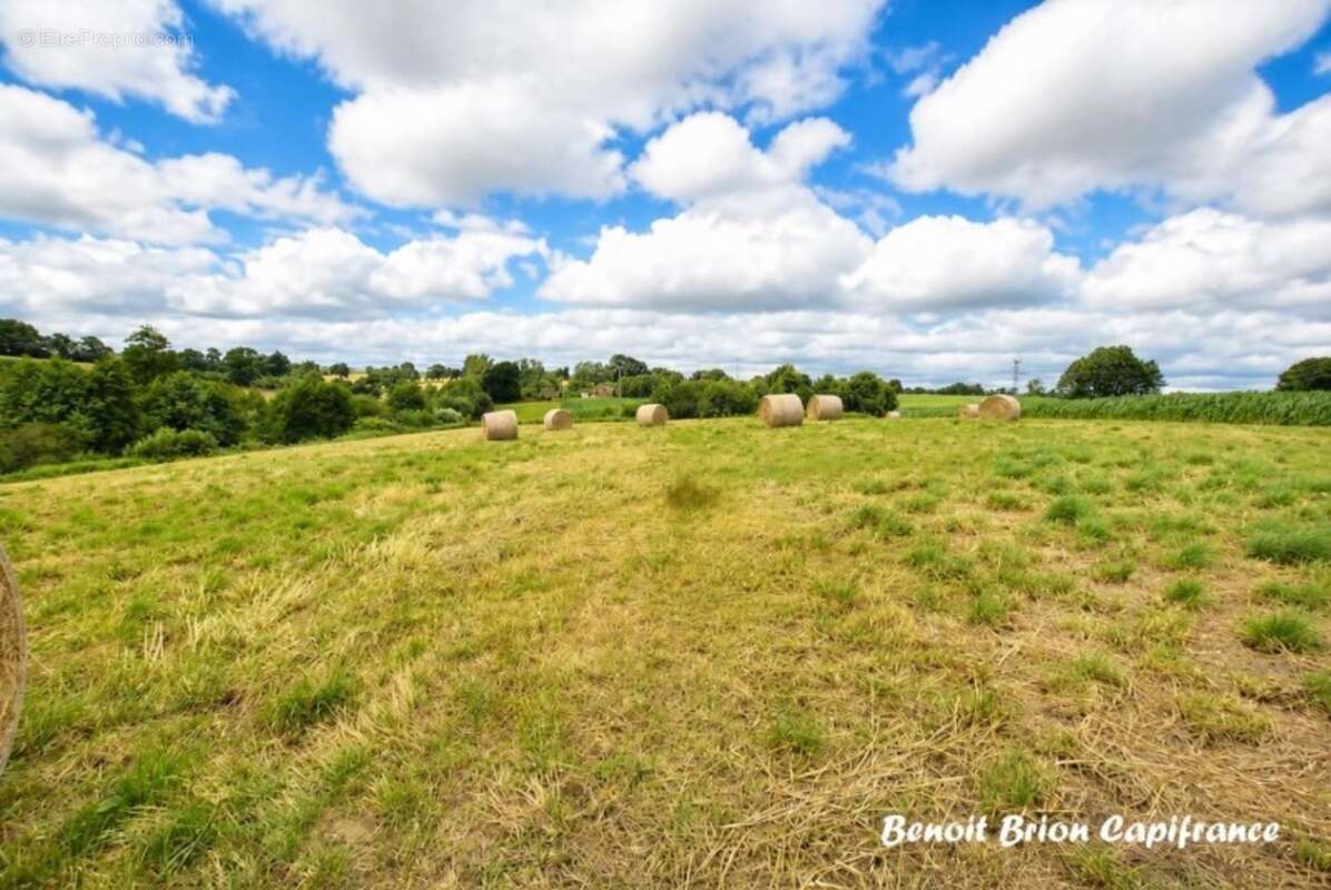 À vendre – Demeure historique en pierre d'environ 260 m² sur 2 hectares – Lapenty (50), à proximité de Saint-Hilaire-du-Harcouët - photo 20