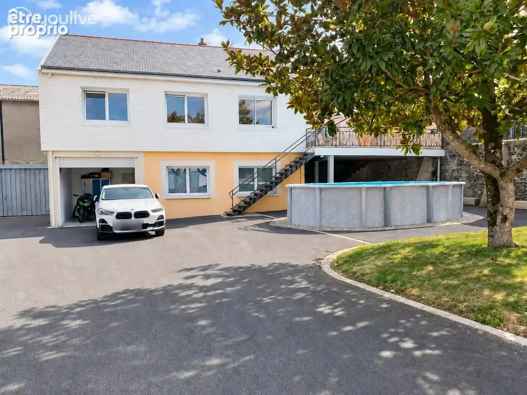 Maison dpe a, ateliers, local professionnel et étang - photo 2