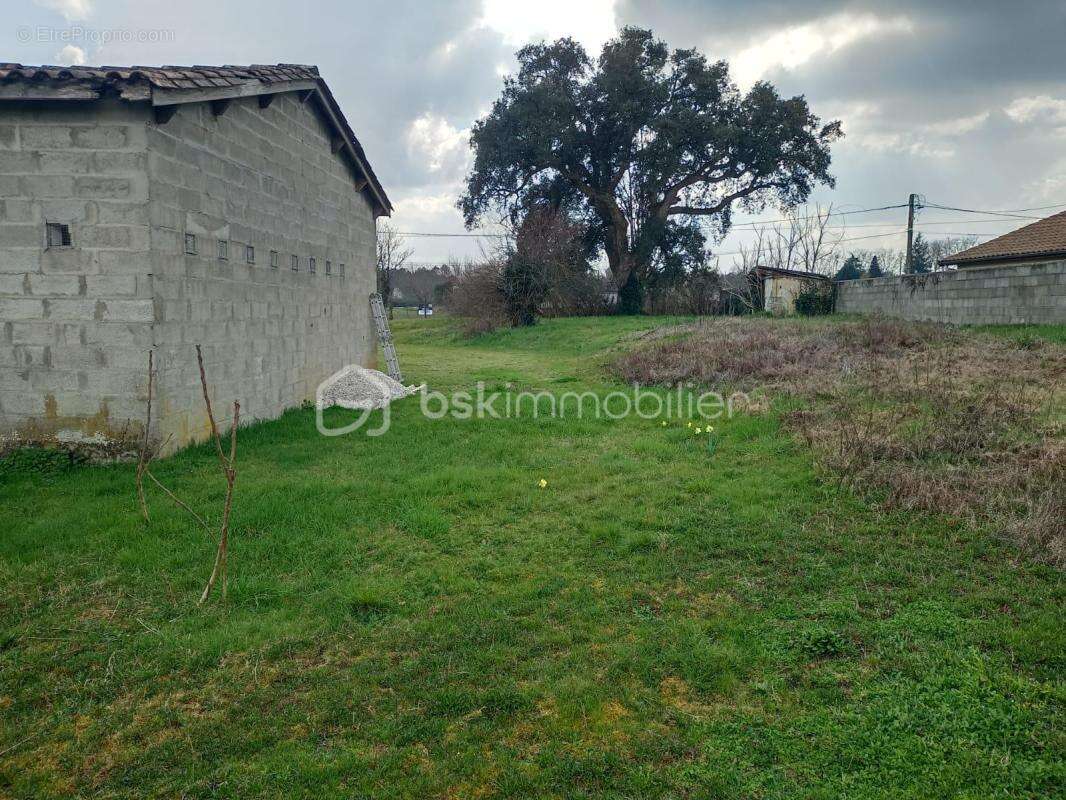 Terrain à LAGORCE
