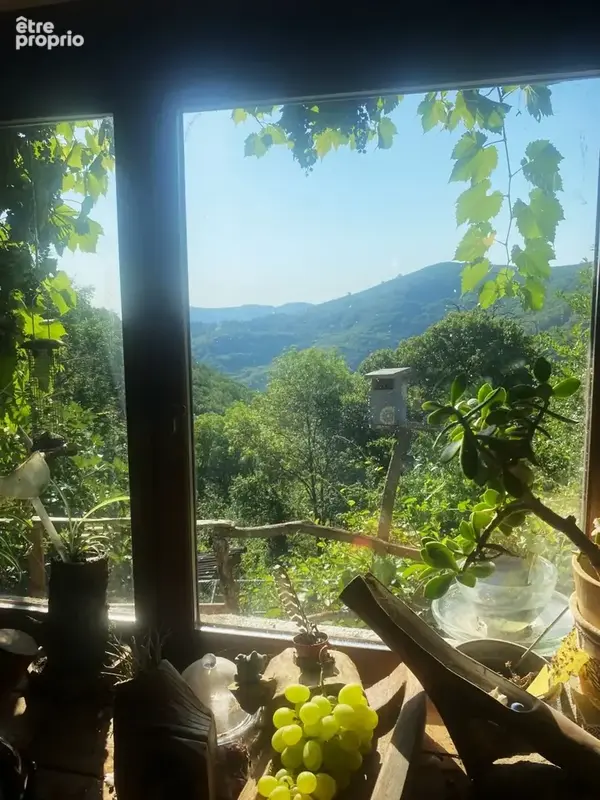 Belle maison Ardéchoise avec gîtes sur le terrain de 9950m² - photo 16