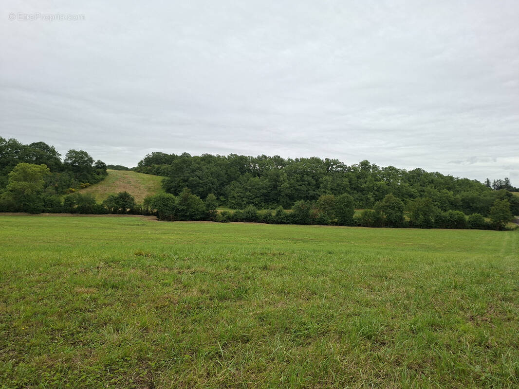 Terrain à MARCIAC