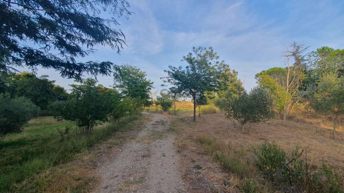 Terrain à LE PONTET