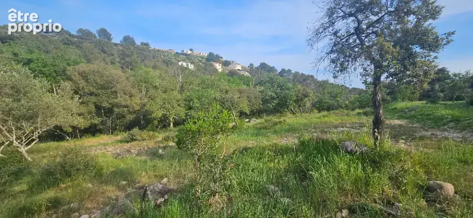 Terrain à ROQUEFORT-LES-PINS