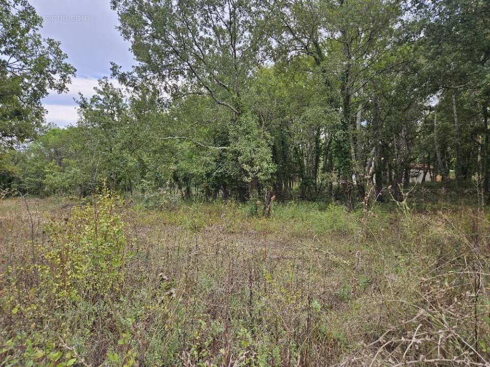 Terrain à TOURRETTES