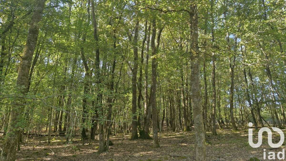 Maison 300 m² à Gardegan-Et-Tourtirac  - photo 3