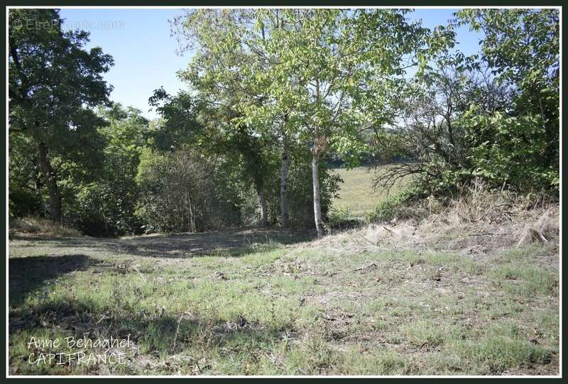 Dpt  (32), à vendre corps de ferme  170 m2- Terrain de 11642m2 - photo 22