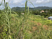 Terrain à LE ROBERT