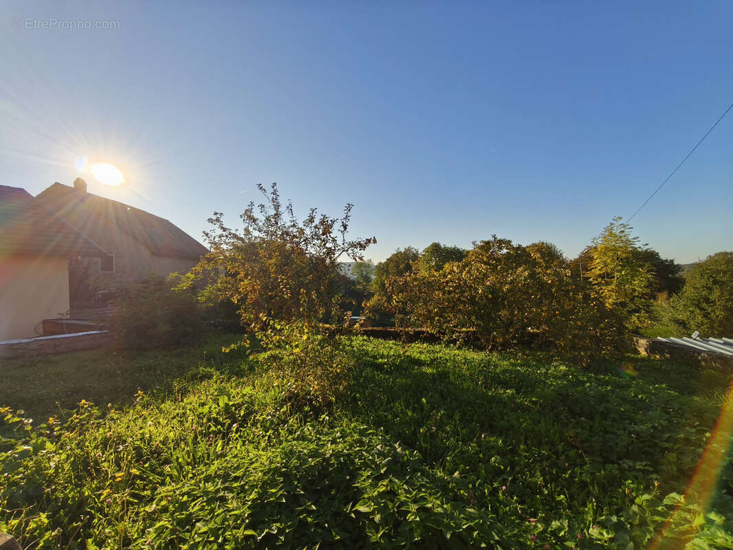 Maison à THEZILLIEU