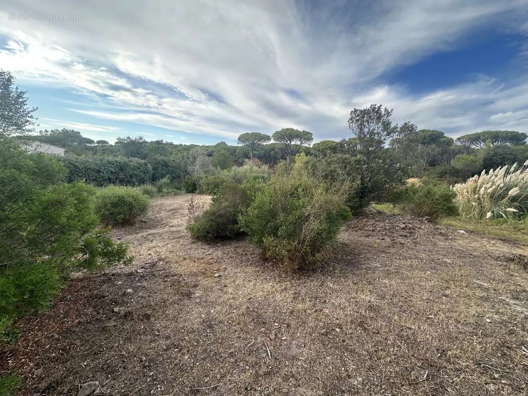 Terrain à FREJUS