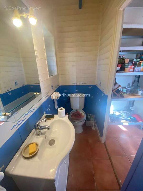 Maison à LOIRE-SUR-NIE