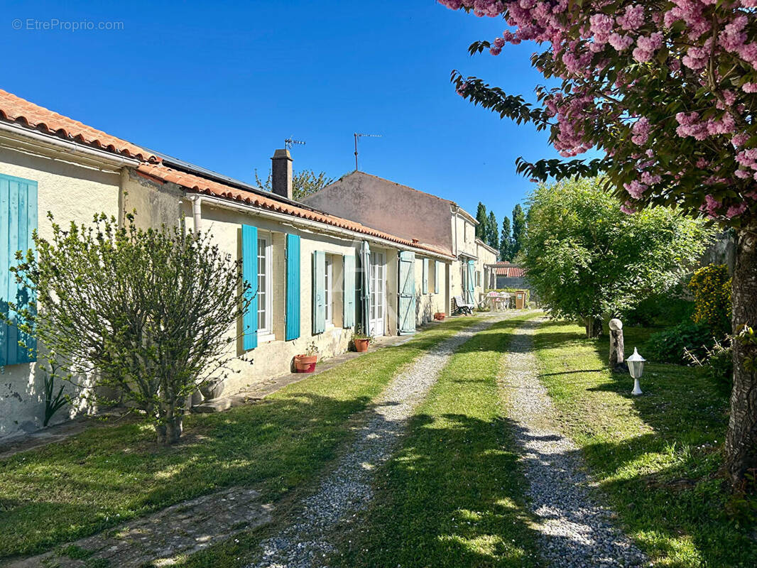 Maison à CHAILLE-LES-MARAIS