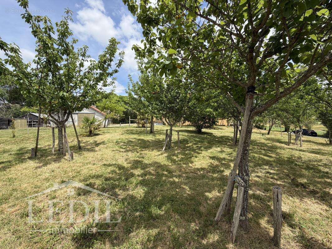Maison de campagne entre Condom et St Puy - photo 3