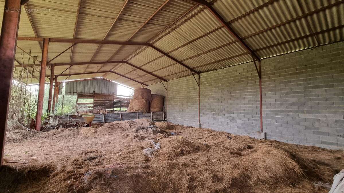 Maison à SAINT-FELIX-DE-VILLADEIX