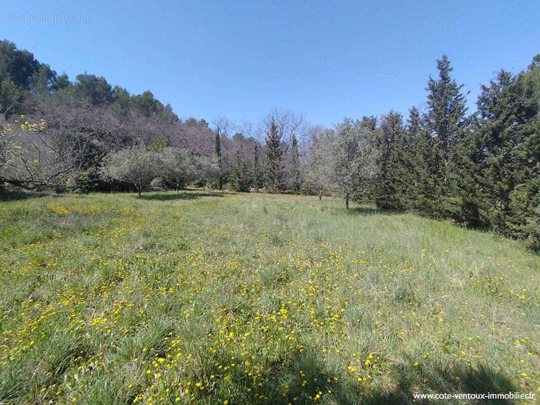 Terrain à SARRIANS