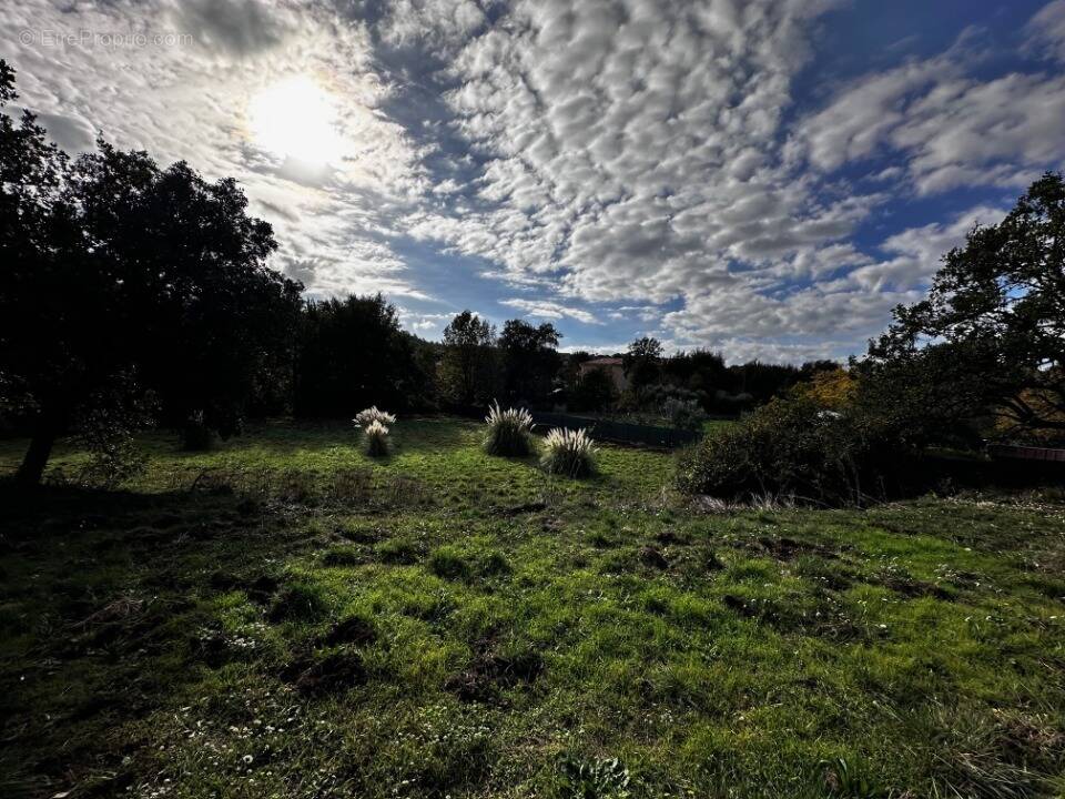 Terrain à SAINT-RAPHAEL