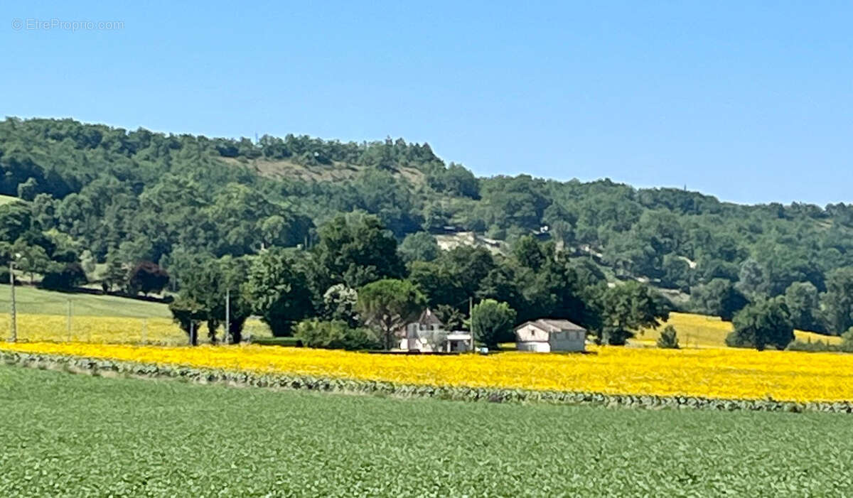 Maison à LAUZERTE