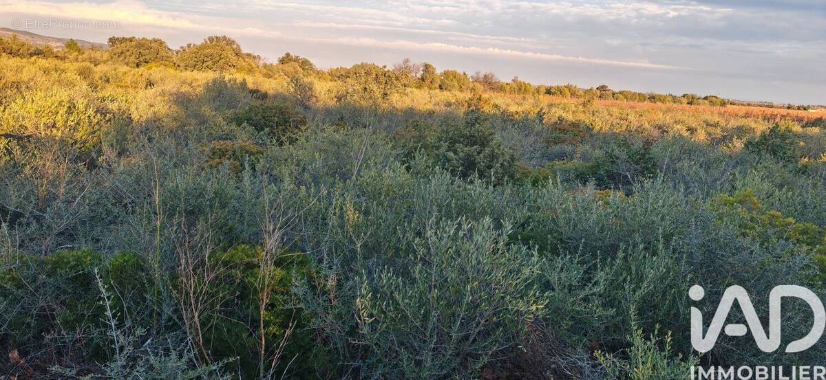 Photo 1 - Terrain à LA PALME