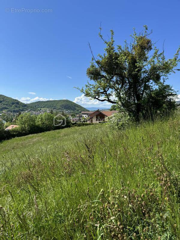 Terrain à VILLY-LE-PELLOUX