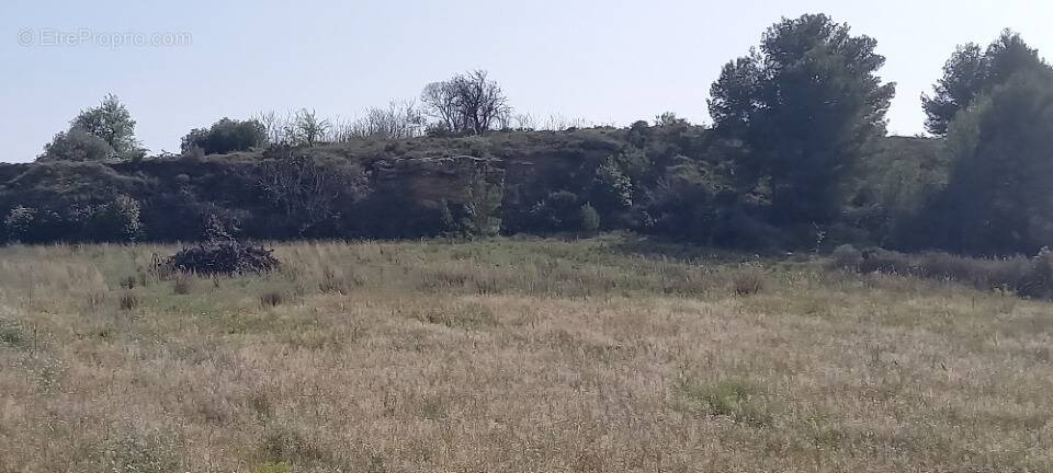 Terrain à SAINT-MARCEL-SUR-AUDE