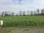 Terrain à LA TAILLEE