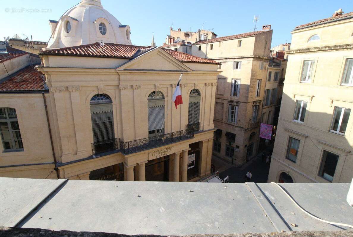 Photo 9 - Appartement à MONTPELLIER