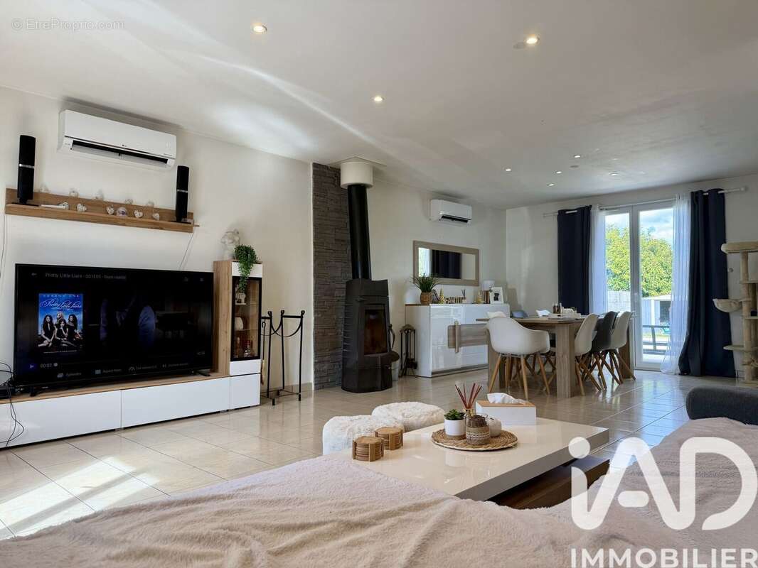 Photo 4 - Maison à VIGNOUX-SUR-BARANGEON
