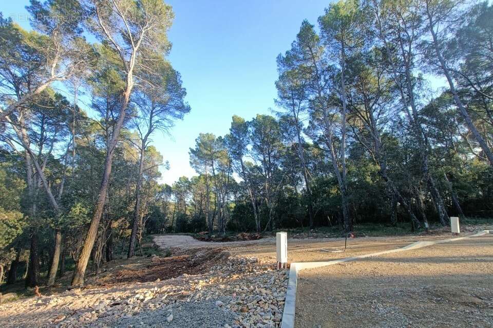Terrain à LORGUES